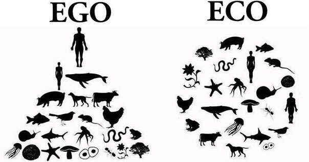 Главный коррупционер