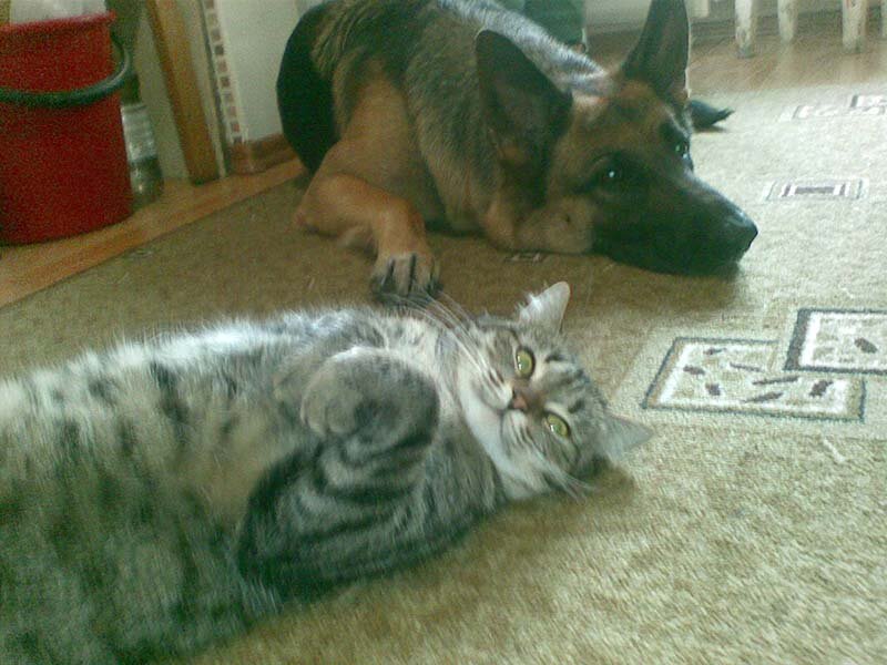 Фото из личного архива. Это кухня