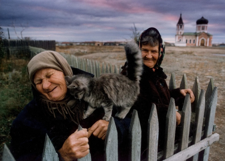 бабушка и котенок