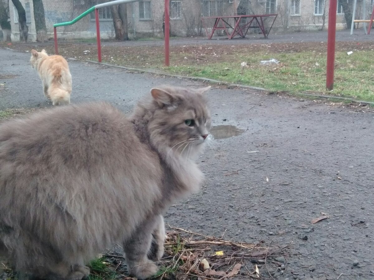 Уже аут или нет?)