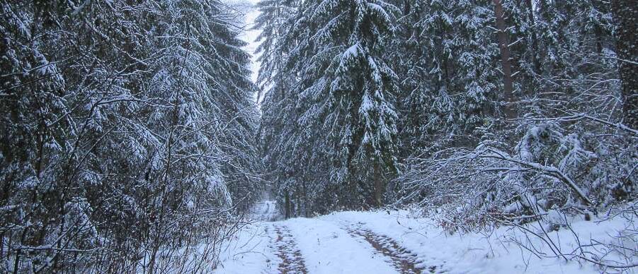 Городокский район Витебской области.