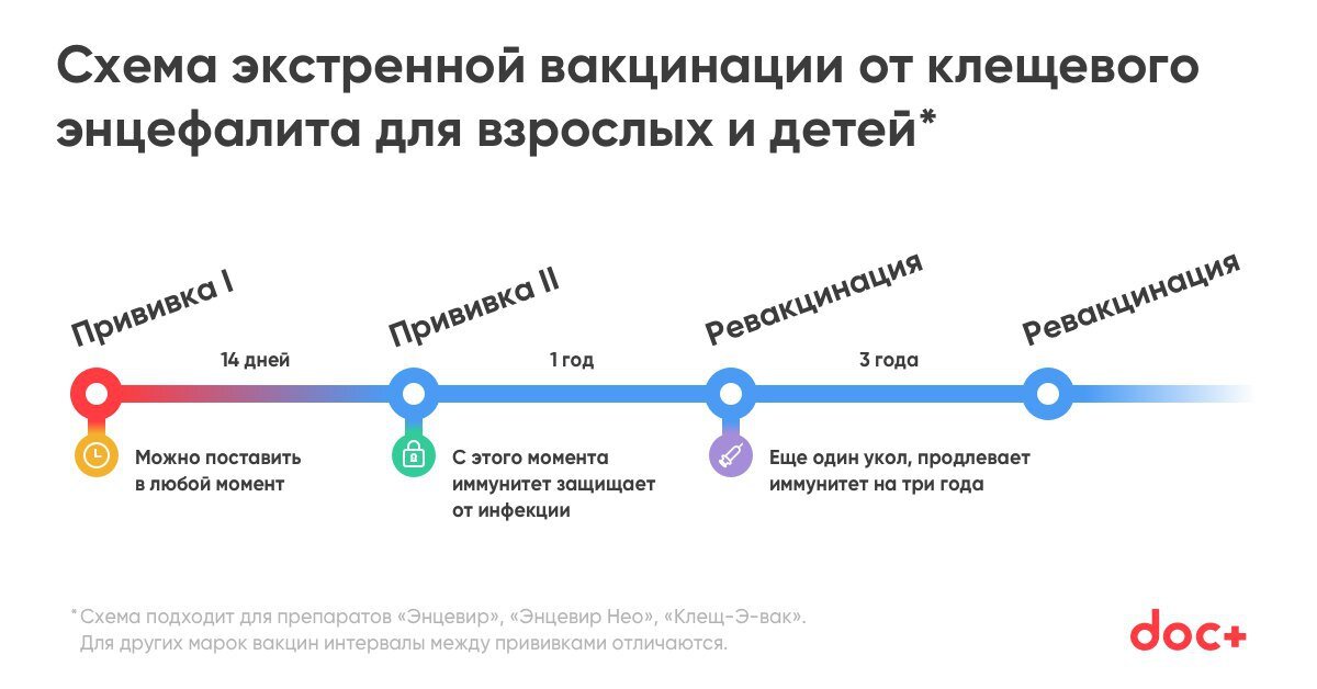 Схема клещ эвак