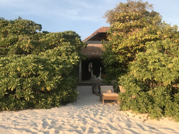 Как выглядит обычный огород на частном острове на Мальдивах