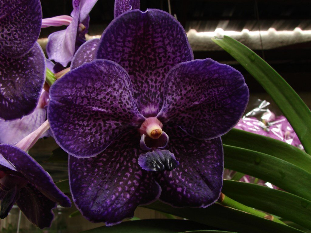 Изображение взято из открытого источника 