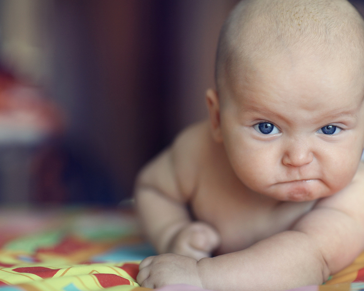 Фото взято с просторов интернета из  открытых источников.