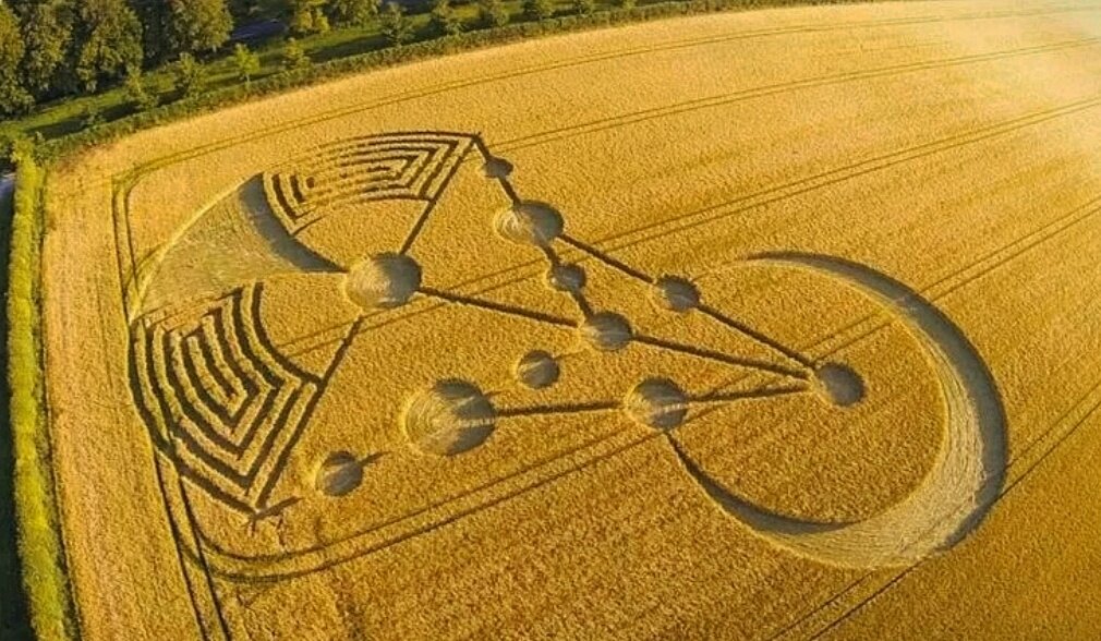 Узоры на поле, агроглифы, рисунки на поле