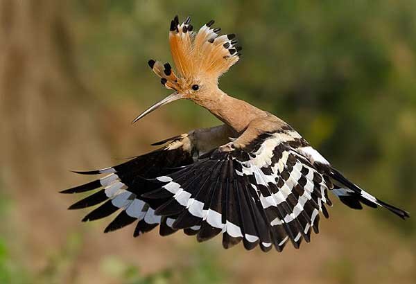 Источник фото: zhuanlan.zhihu.com