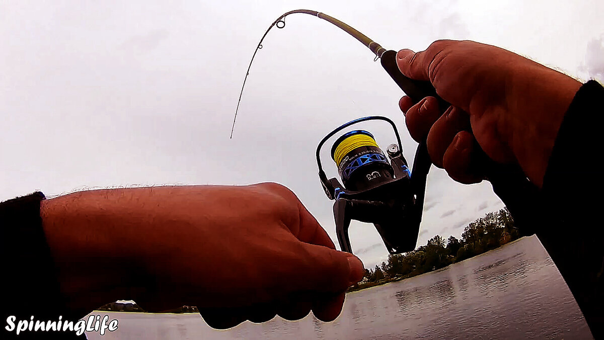 Приехал на место и с первого заброса начал ловить