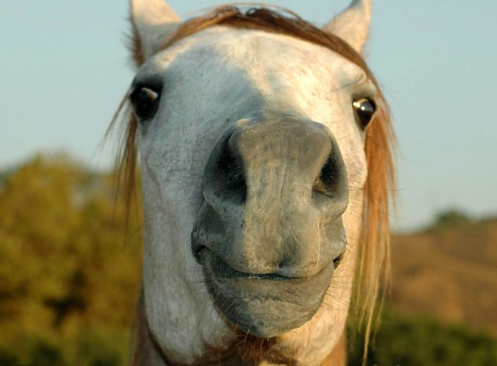 Я жить хочу)))