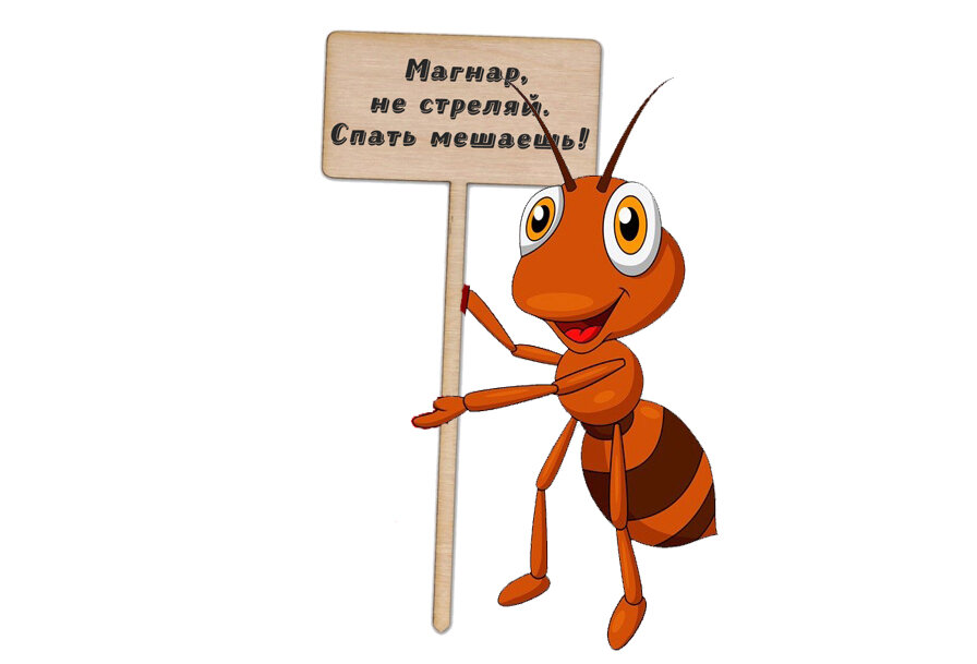 магнар сольберг. биатлонист магнар сольберг на муравейнике. гонка военных патрулей вид спорта. магнар сольберг муравейник. олимпиада в гренобле 1968.