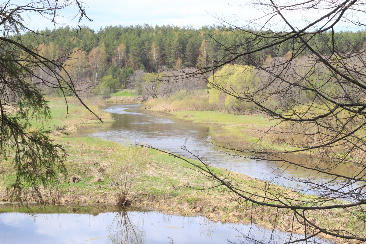 Нерль в Лучках