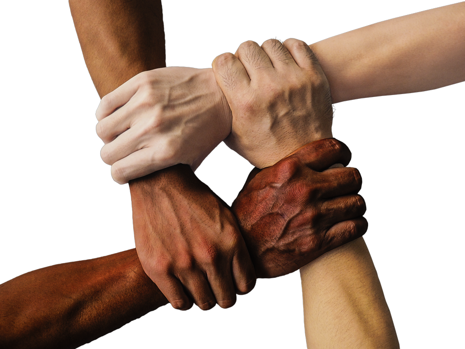 https://cdn.pixabay.com/photo/2016/12/19/10/16/hand-1917895_960_720.png