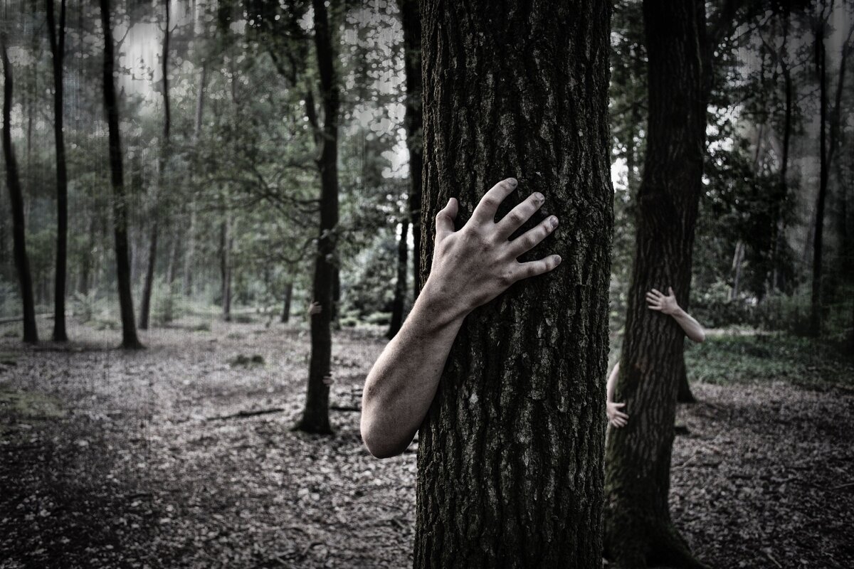 Включи страшные прятки. Человек в лесу. Человек за деревом. Страх в лесу. Дерево в руках.