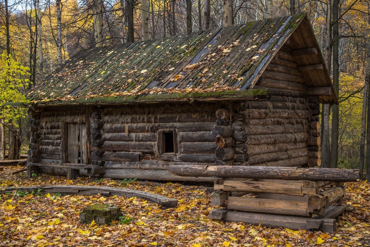 Жилища лесников. Сосновый лес изба скит Торжок. Монастырь скит глушь. Изба срубы Гатчина. Деревня изба сруб