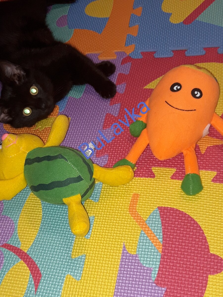 Фото из личного архива 