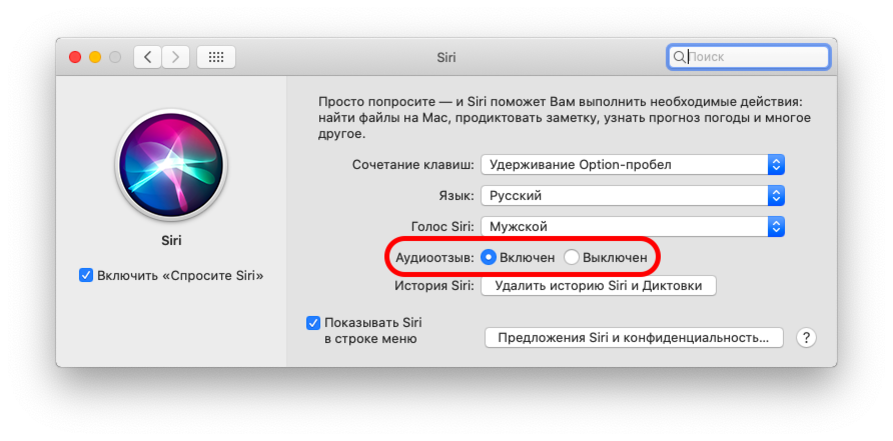 «Привет, Siri!» - как настроить и пользоваться голосовым помощником