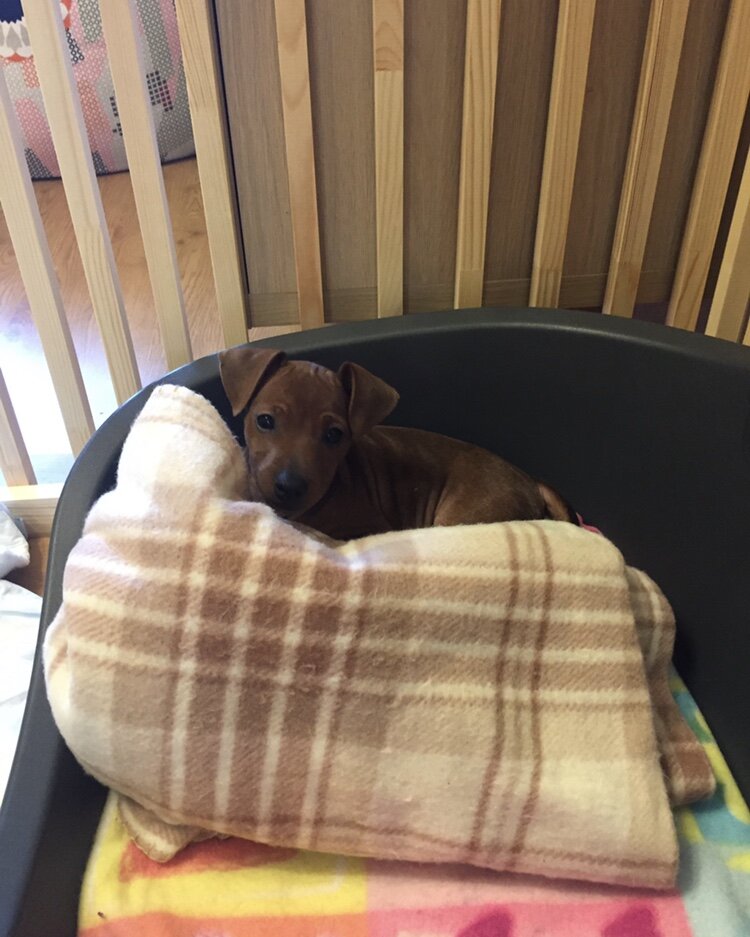 Вот такой домик! 