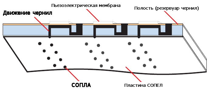 Строение печатающей головки струйного принтера