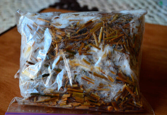 Как выбрать качественный мицелий