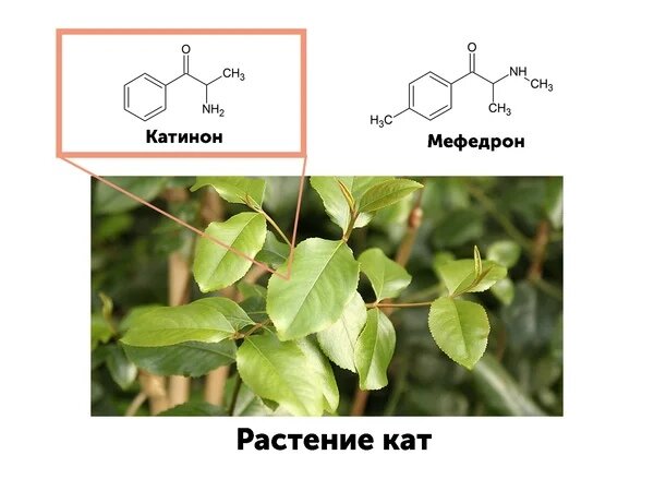 4-Methylmethcathinone (4-MMC) — Мефедрон