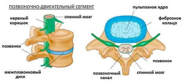 Кислородные концентраторы