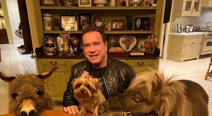 Фотоматериал: https://www.instagram.com/schwarzenegger/ https://www.theplace.ru/