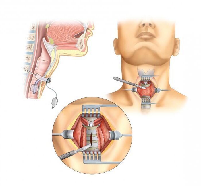 Фото из открых источников 
