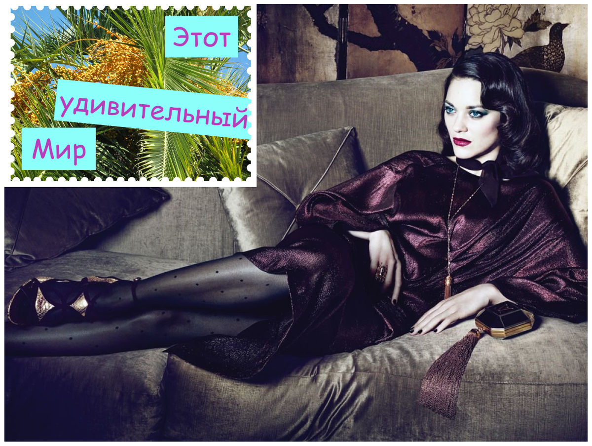 Подпишитесь на канал! Так Вы поможете развитию канала. Заранее спасибо!