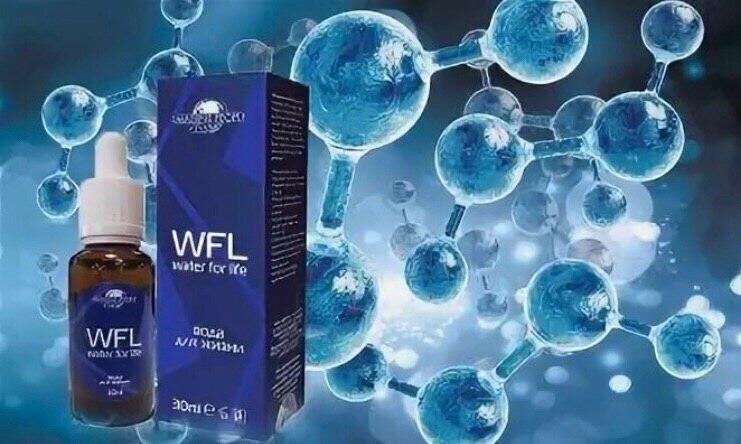 Зеелиг Алексей