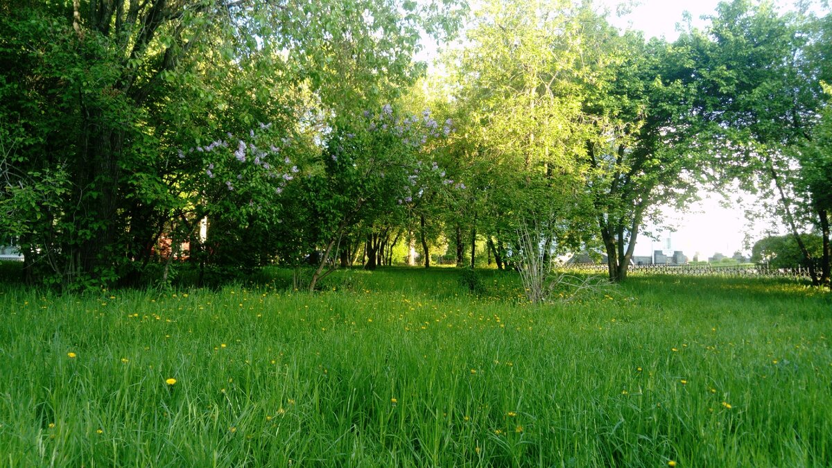 Вот - часть парка. Фото сделано весной, так что на зелень не обращайте внимания, сейчас все уже не так | Фото автора