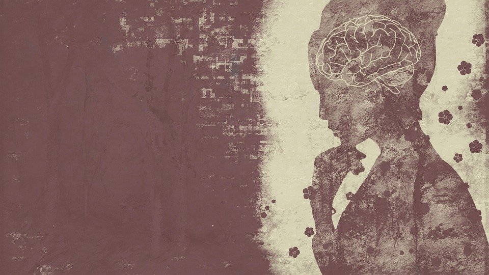 https://pixabay.com/ru/illustrations/женщина-разум-копией-пространства-5517855/