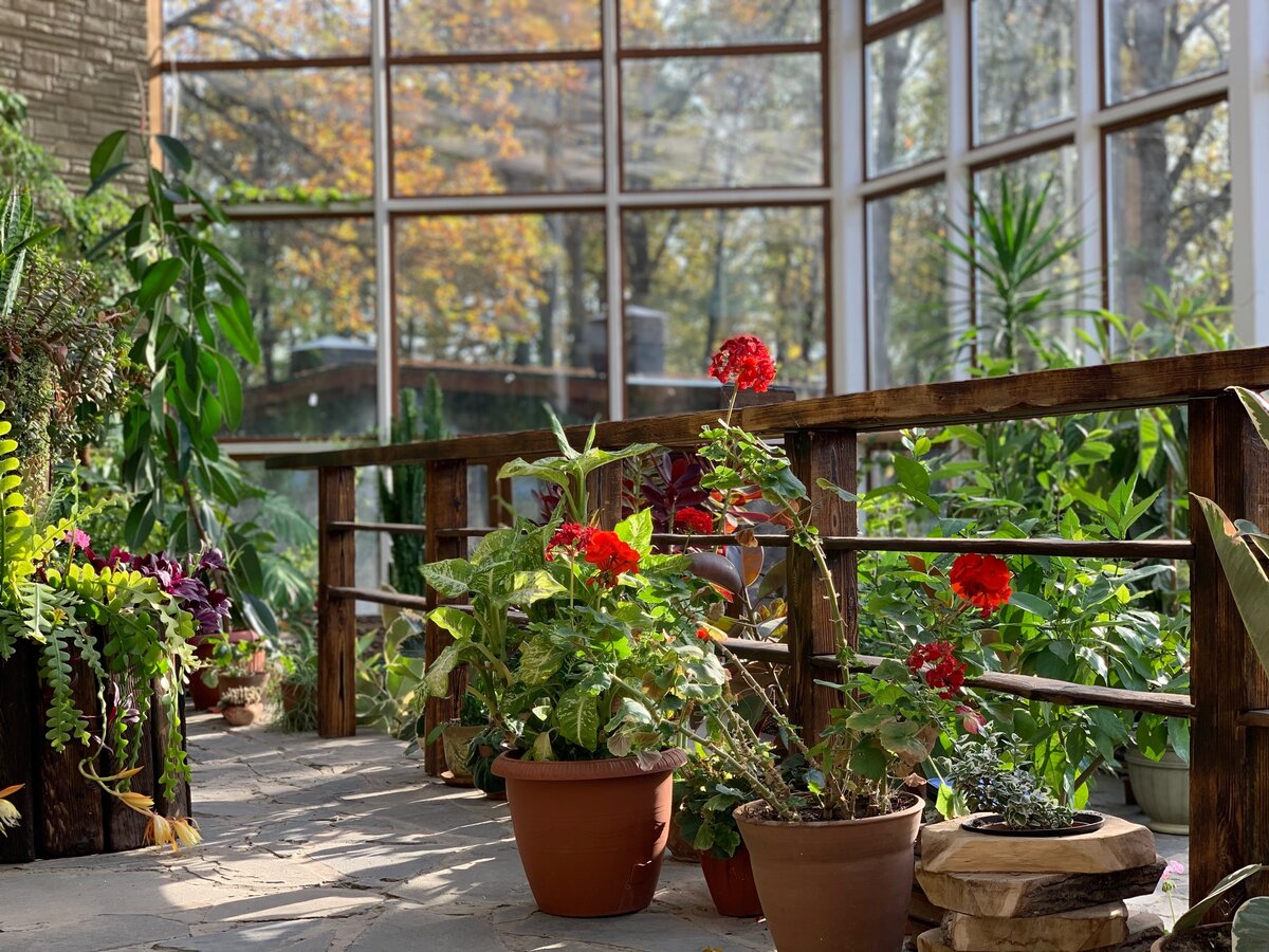 Моя маленькая мечта!