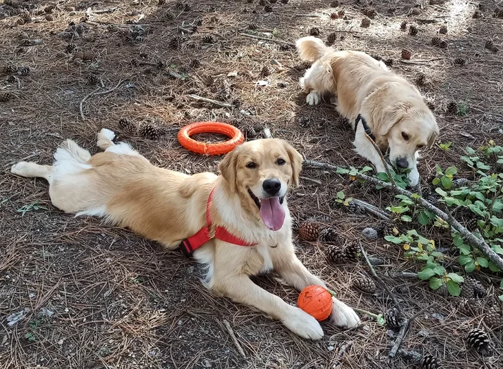 Куба и Ляля