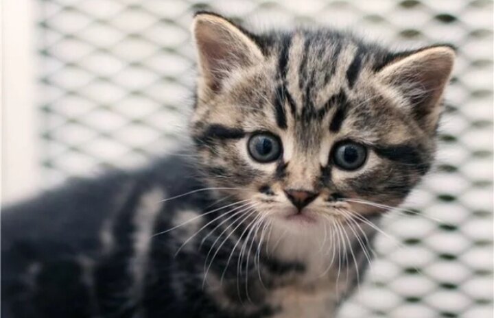 Фото взято из открытого источника для иллюстрации статьи