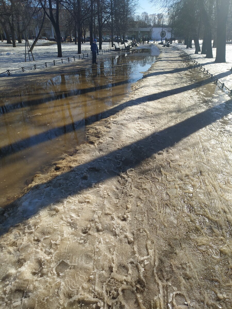 Широкая река вместо прохода к зоопарку