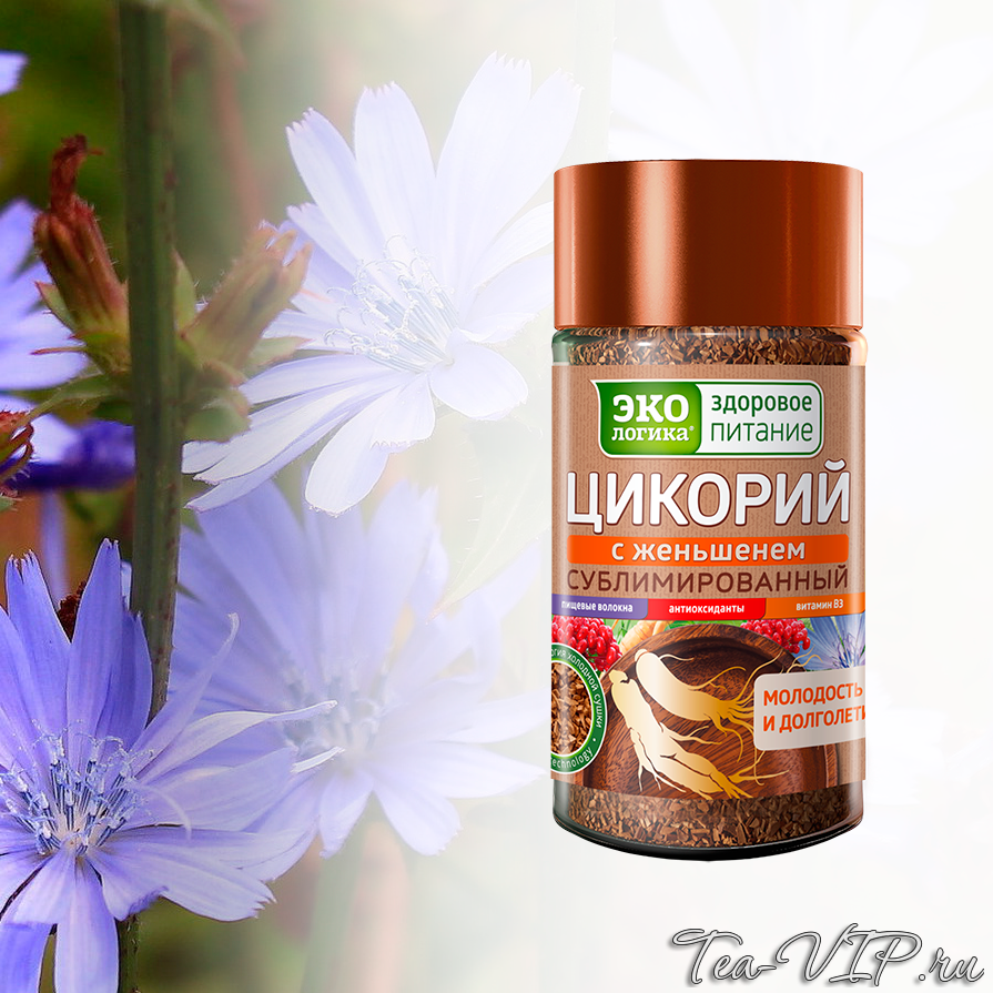Цикорий сублимированный или порошковый какой лучше. Цикорий экологика 75гр. цикорий натуральный 85 гр, экологика. эко цикорий сублимированный. цикорий экологика 85г/15.
