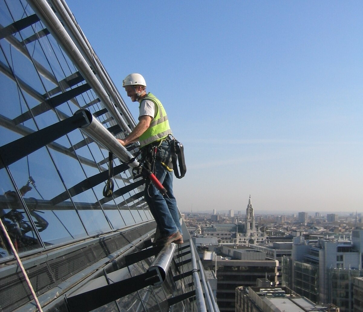 Высота птичьего полета