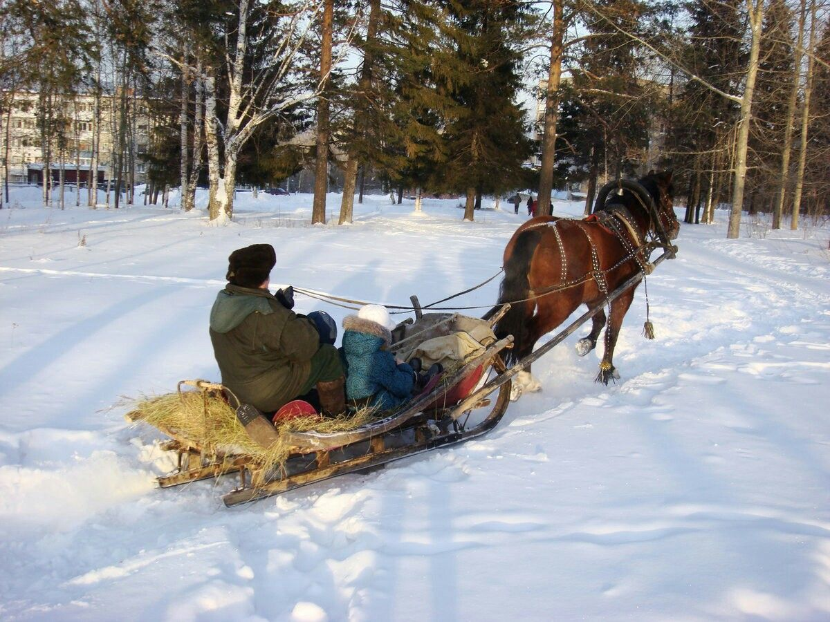 Зимой на санях.