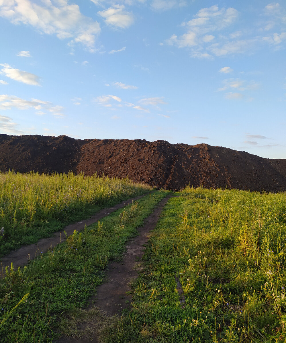 Заваленный проезд. 
