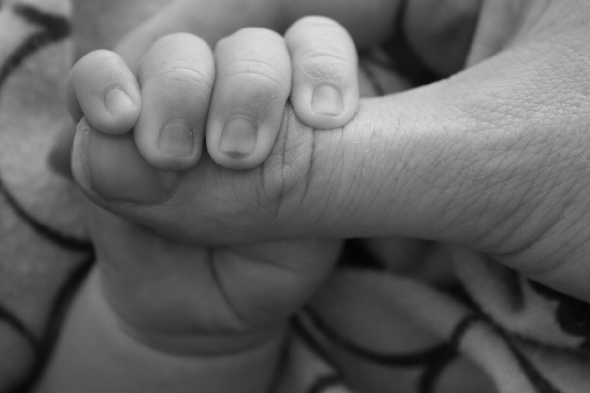 Изображение AERC с сайта Pixabay 