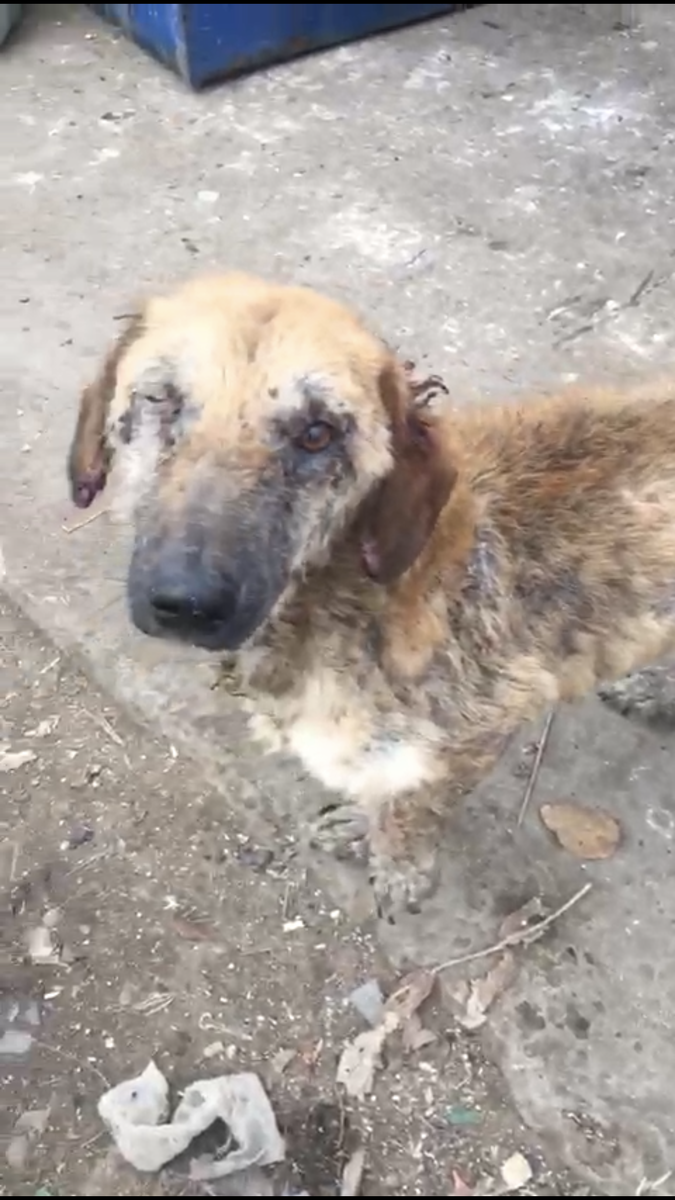 В таком состоянии была малышка