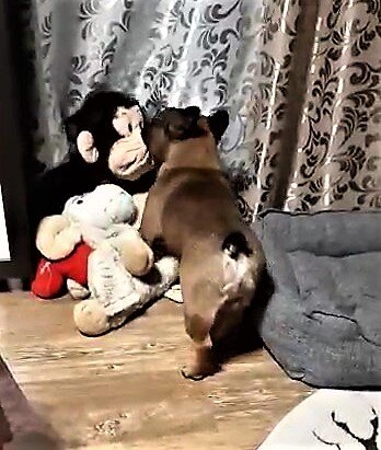 Фото из личного архива. Билли знакомится с новым местом жительства.
