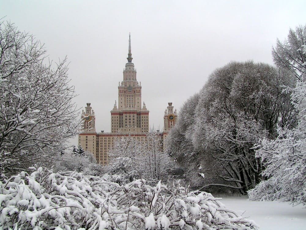 Фото: botsad.msu.ru