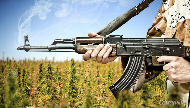 Источник фото: Семяныч