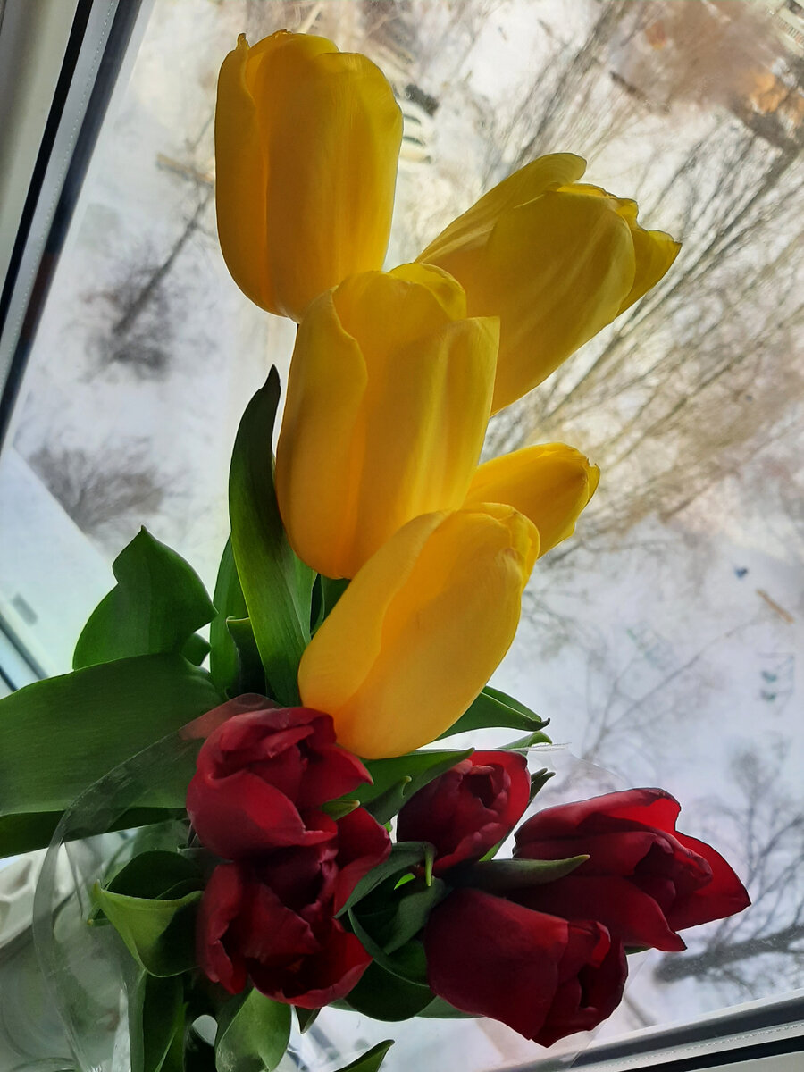 С прошедшим 8 марта, девочки ) Побольше улыбок, спокойствия и здоровья )