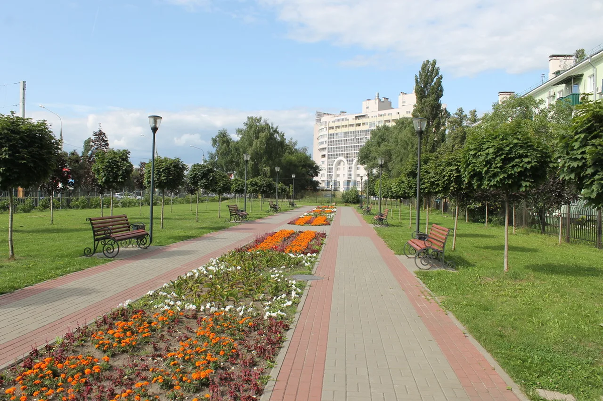 Аллеи воронежа. Сквер патриотов Воронеж. Парк патриотов аллея Воронеж. Парк патриота Воронеж левый берег. Сквер аллея славы Воронеж.