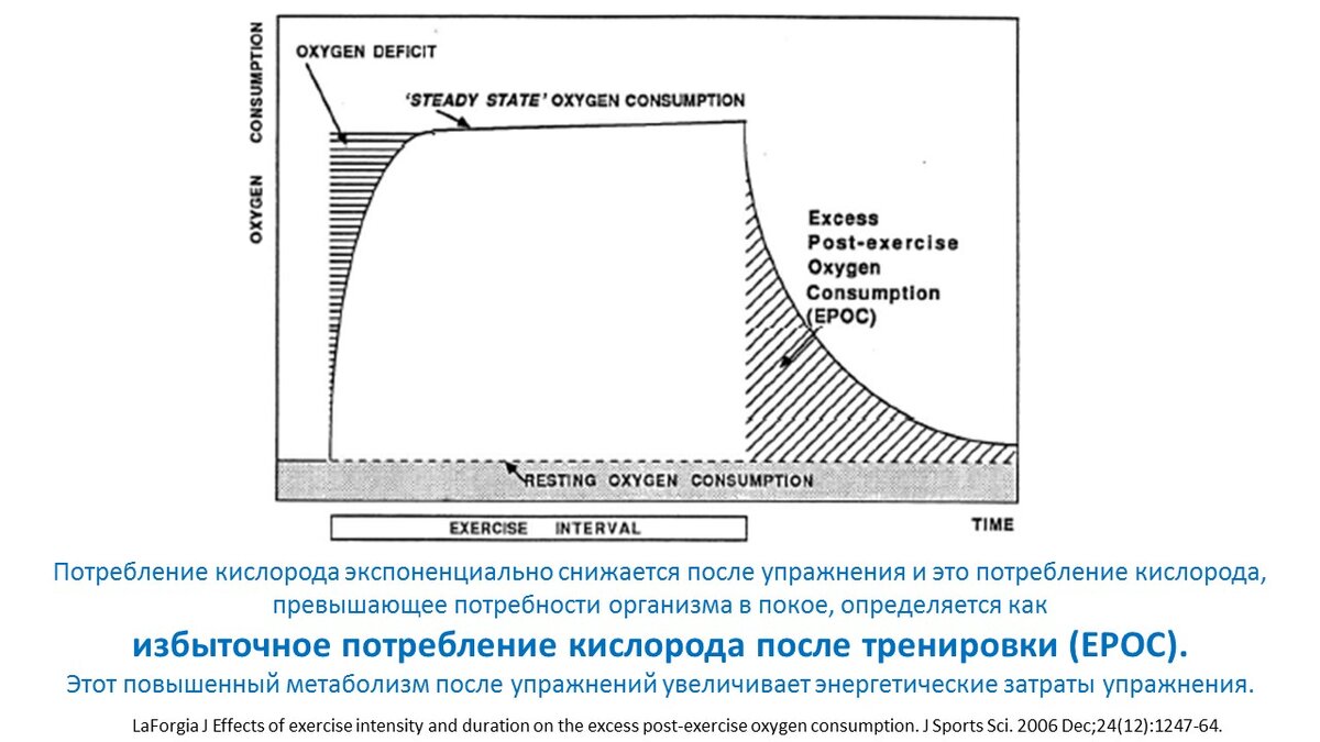 Кислородным долгом. Кислородная задолженность. Разгон метаболизма. Ложное равновесие кислородная задолженность.