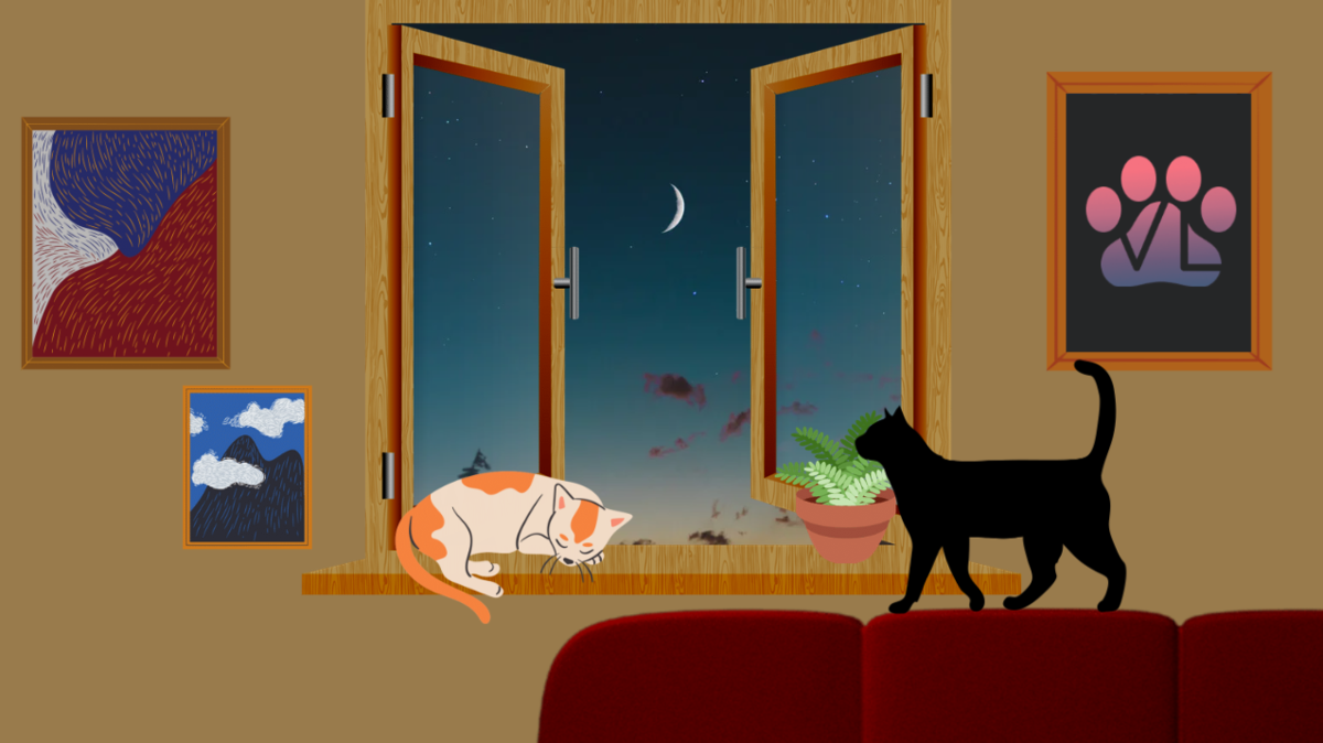 Вот так окна на ночь уж точно оставлять не надо!