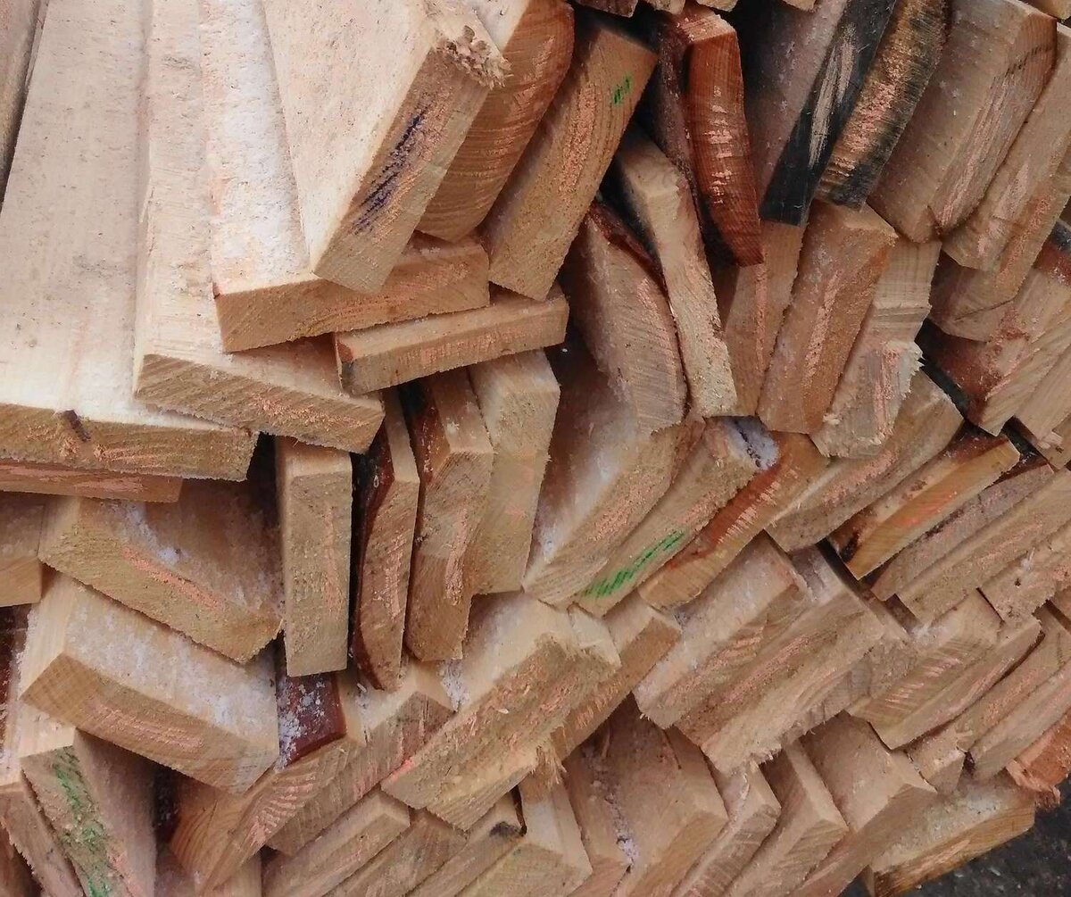 древесная новость