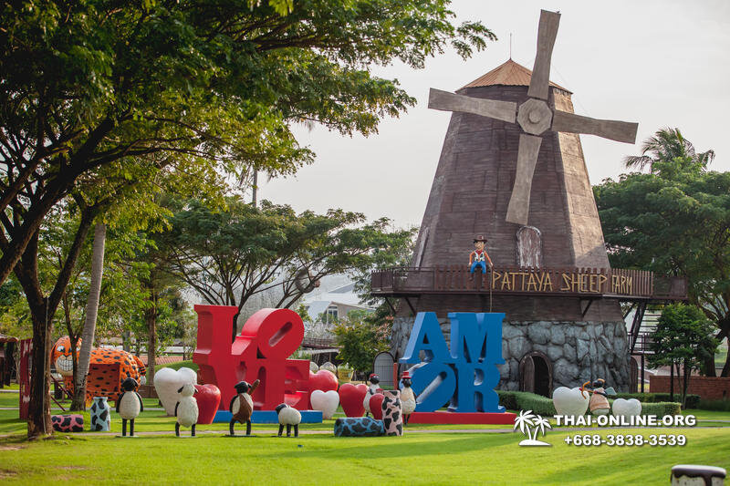 Экскурсия "В Мире Животных" в Паттайе претерпела значительные изменения!